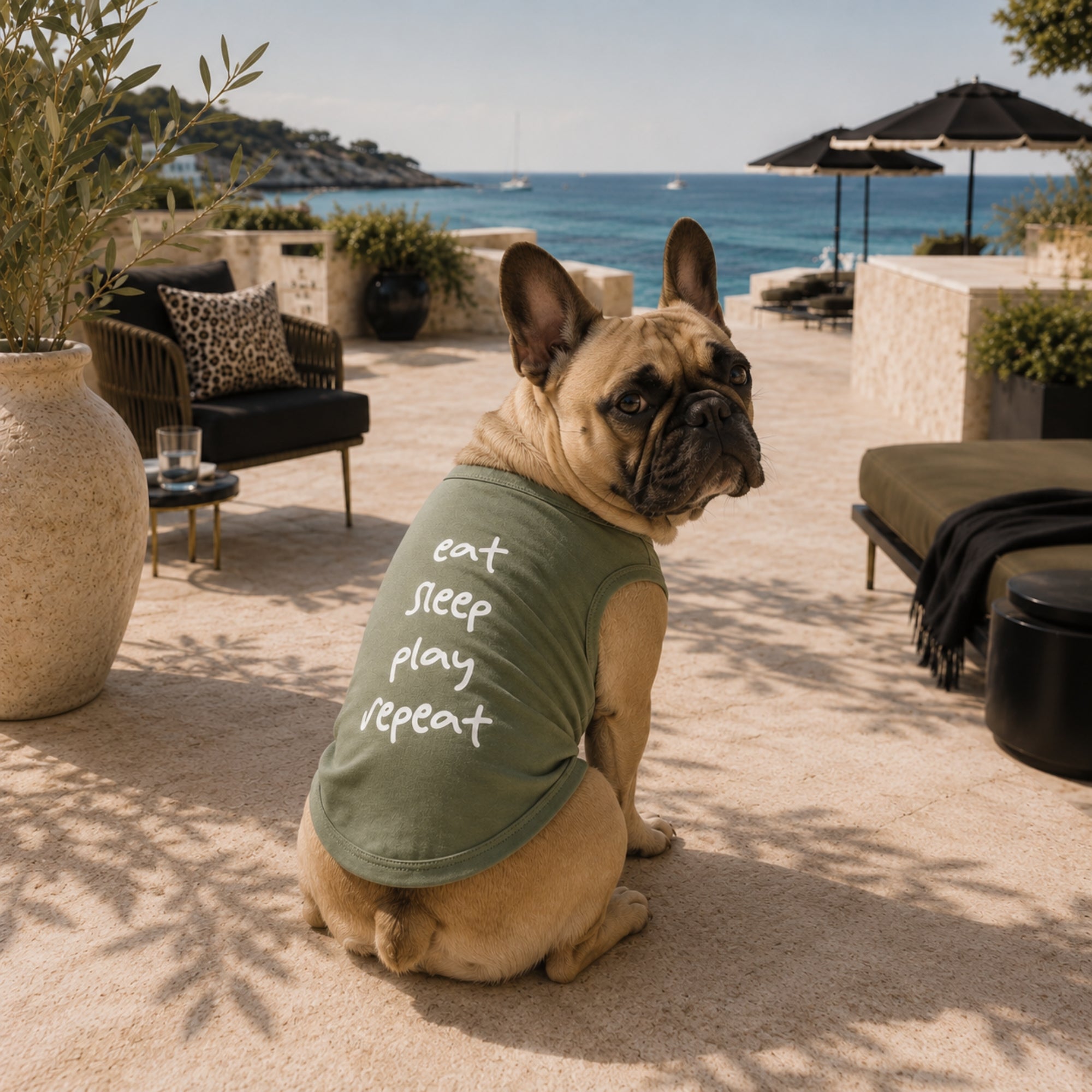 Frankie. Stylish, confident & independant