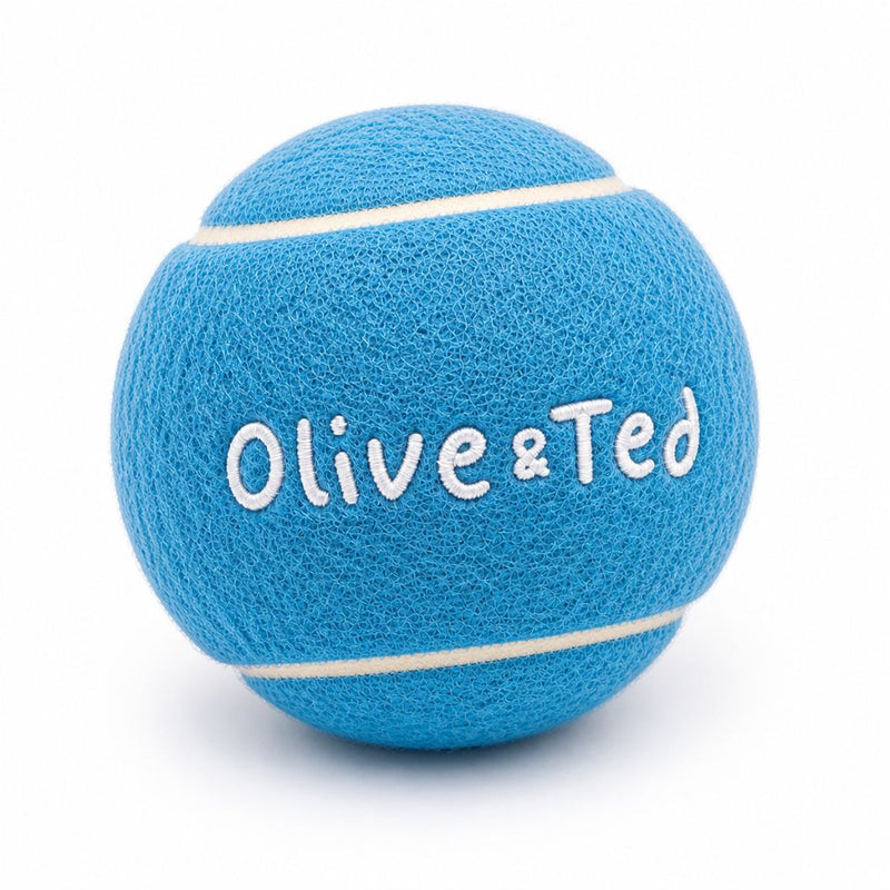 Throw, Fetch & Balls