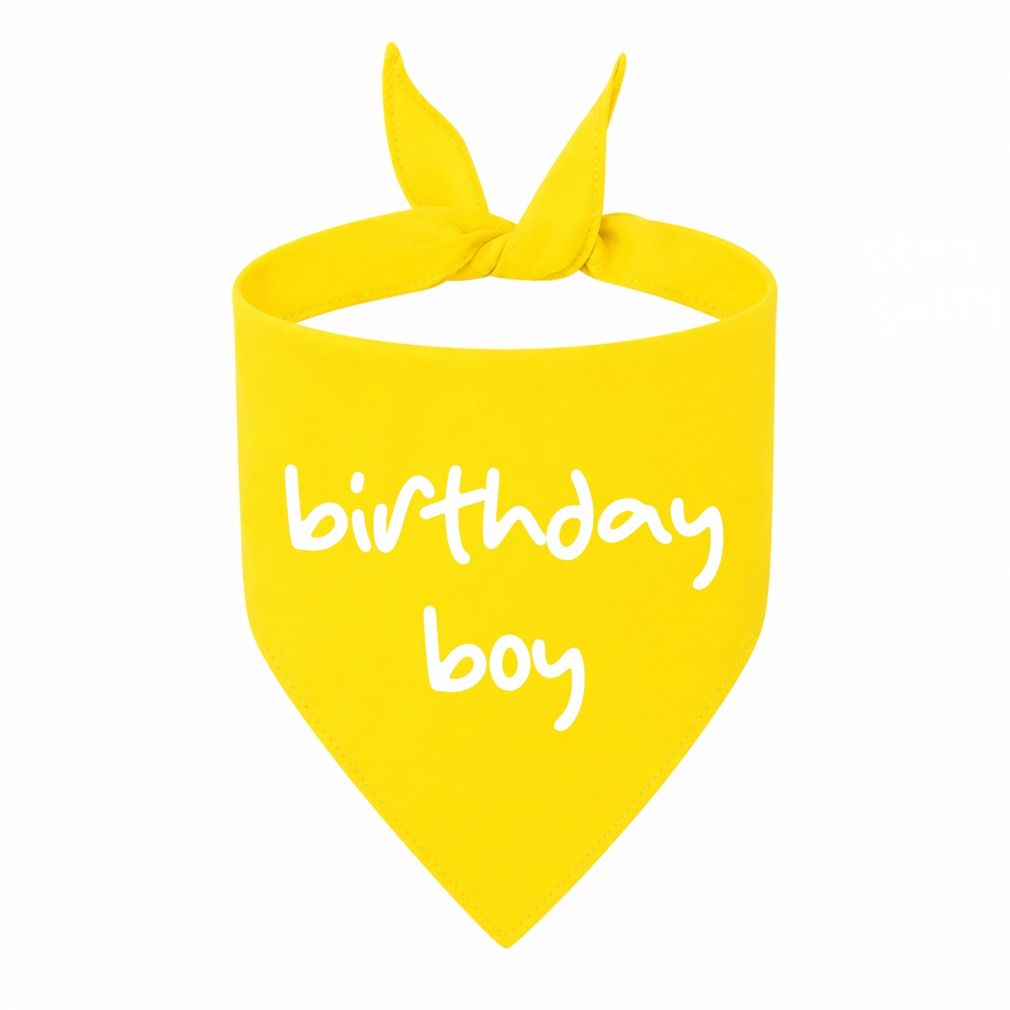 'Birthday Boy' Bandana