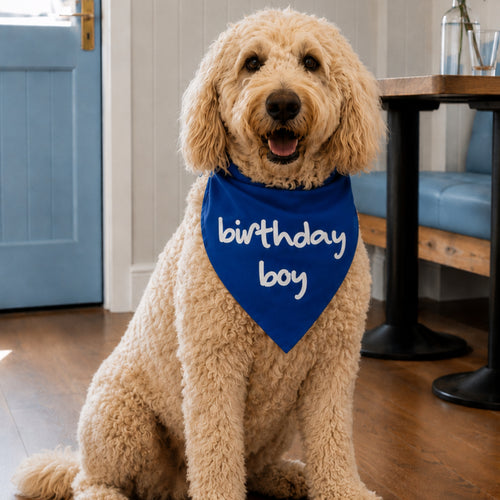 'Birthday Boy' Bandana