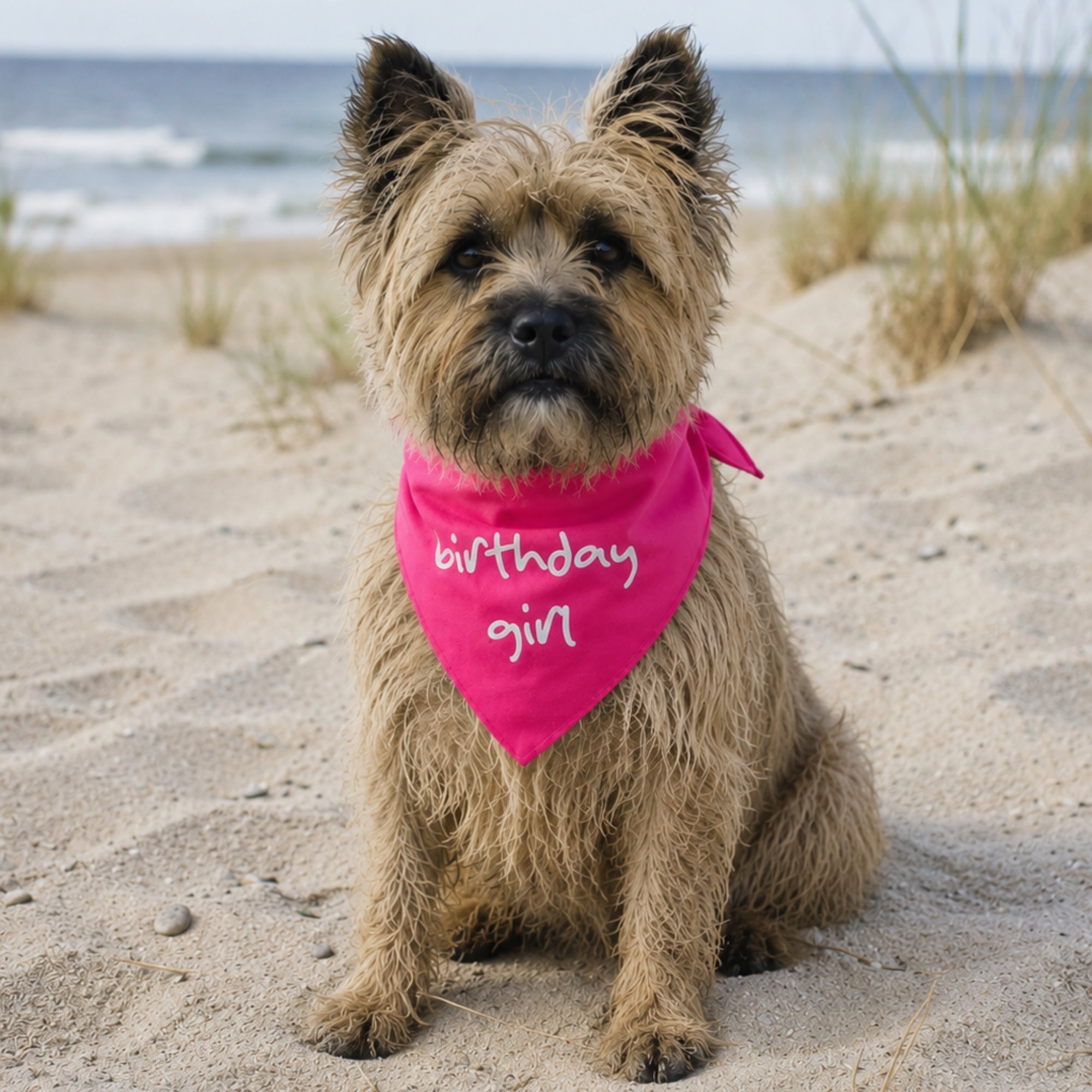 'Birthday Girl' Bandana