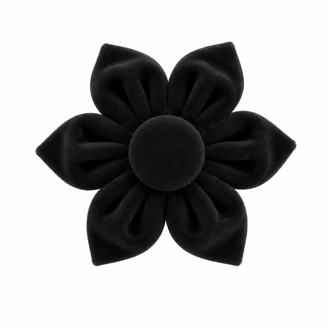 Black Velvet Flower