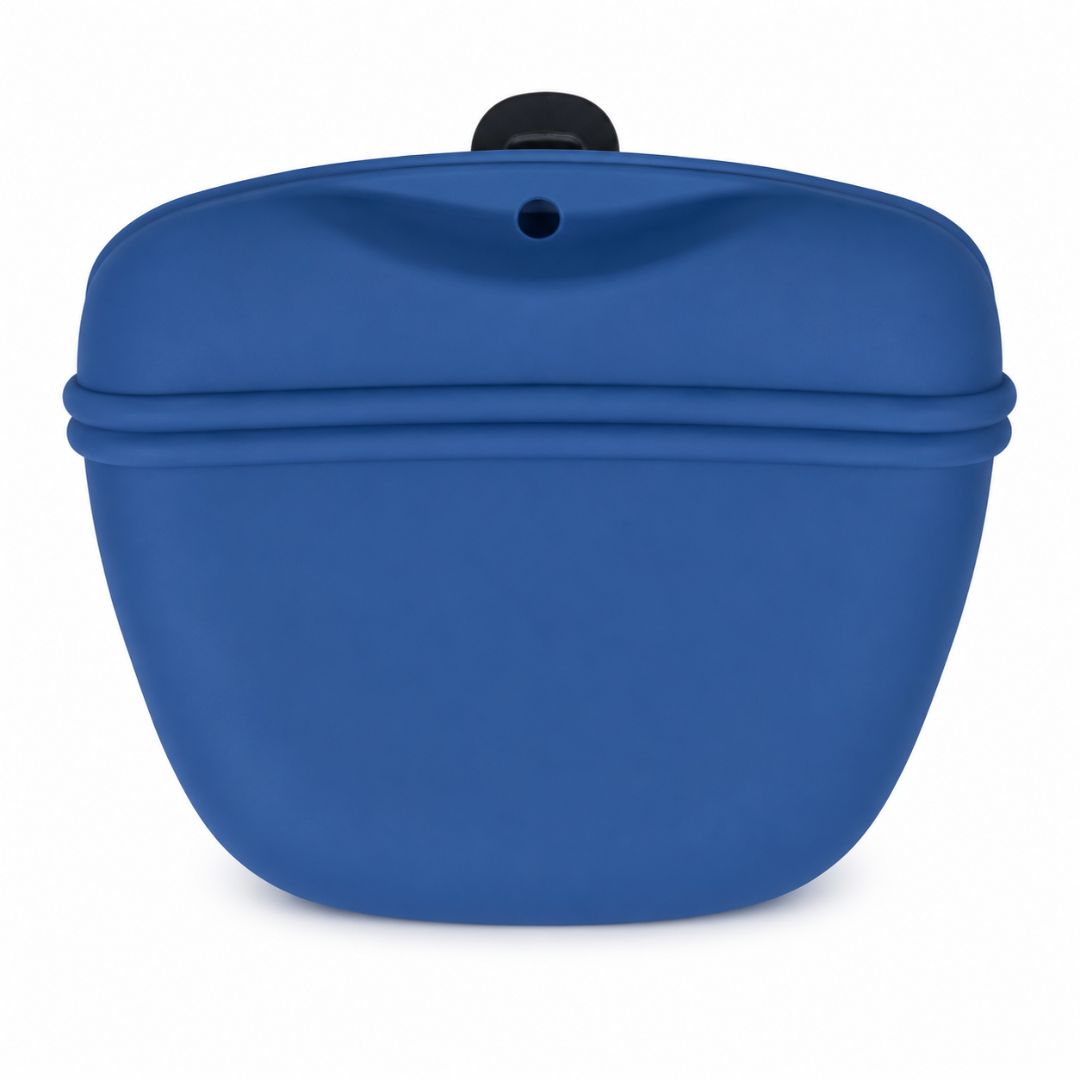 Blue Treat Bag