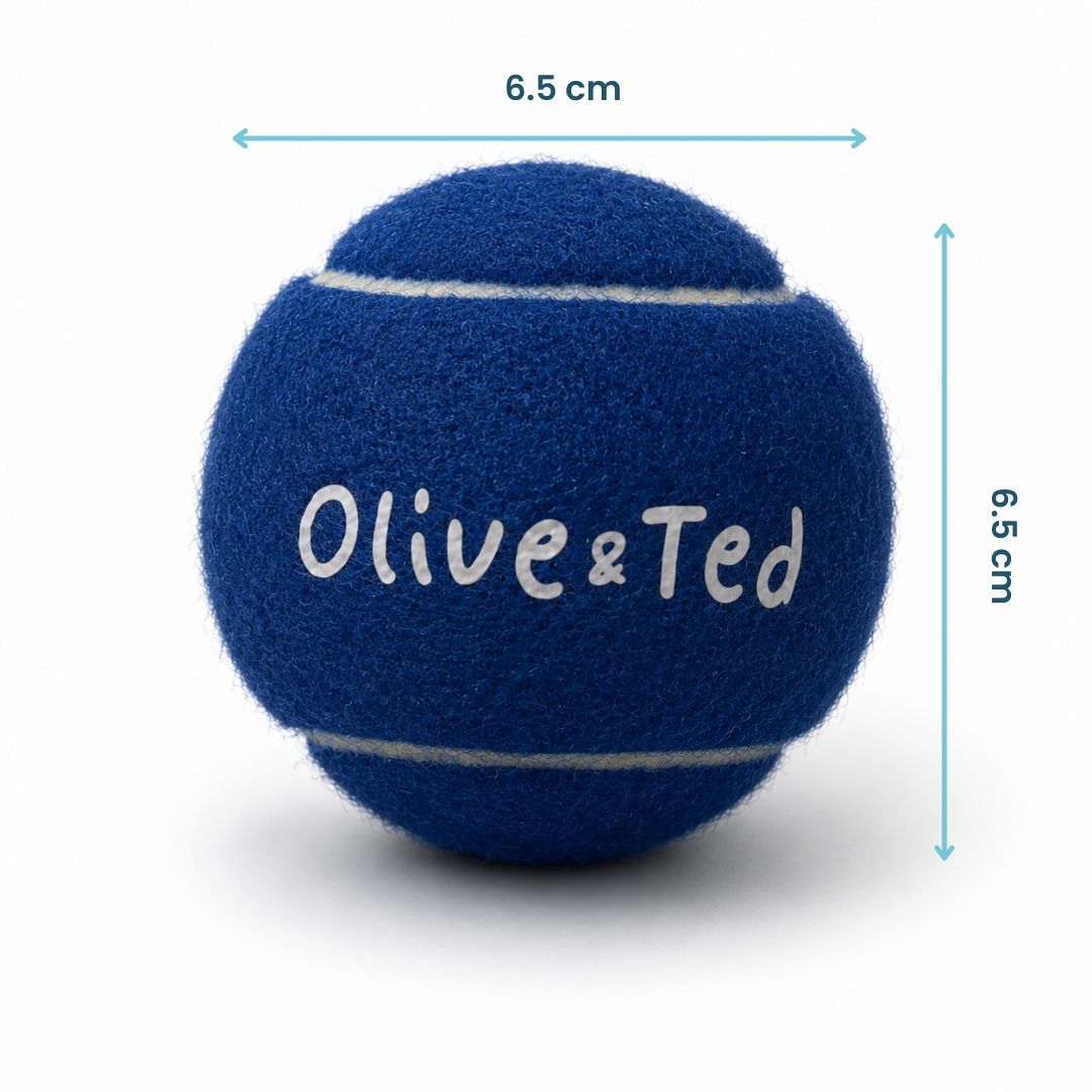 Blue Tennis Ball