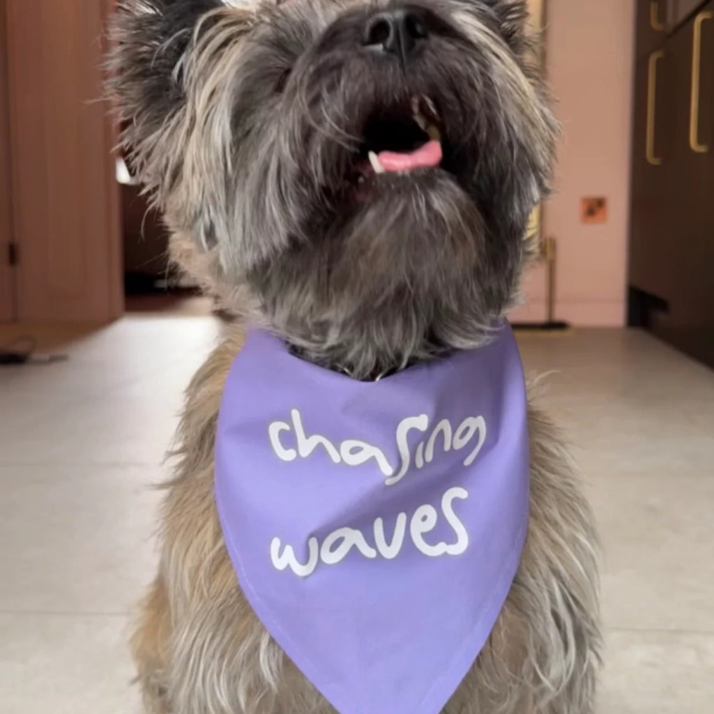 'Chasing Waves' Bandana