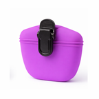 Purple Treat Bag