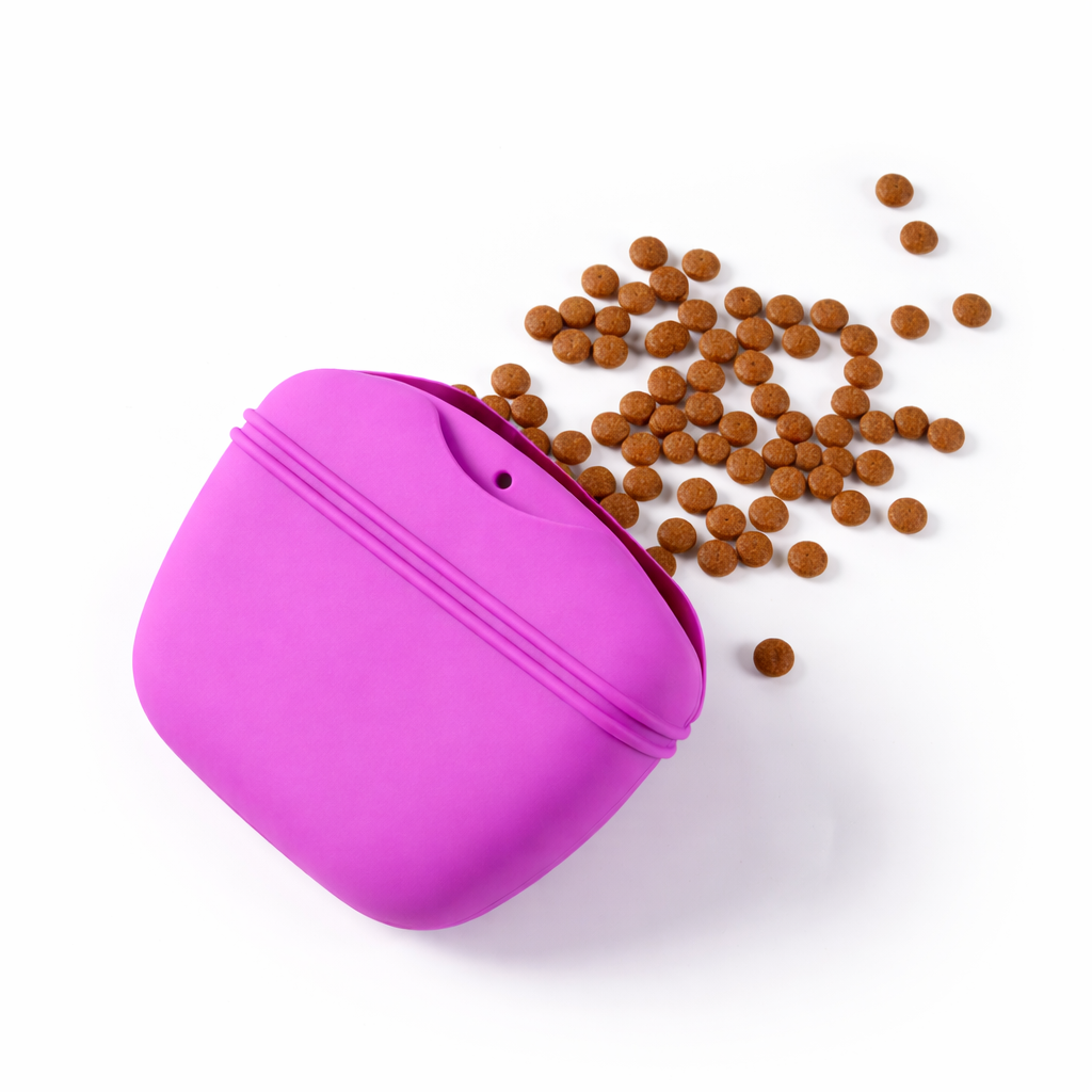 Purple Treat Bag