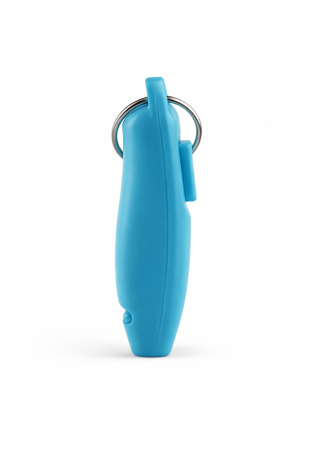 Turquoise 2-in-1 Training Clicker and Whistle