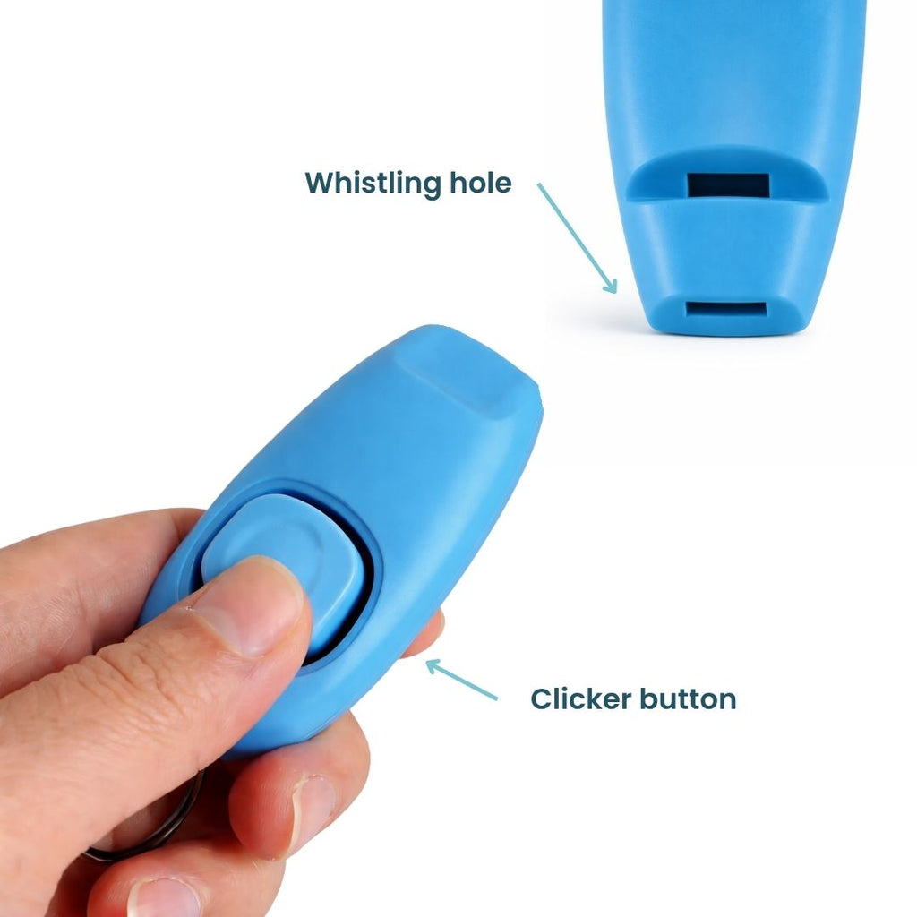 Turquoise 2-in-1 Training Clicker and Whistle