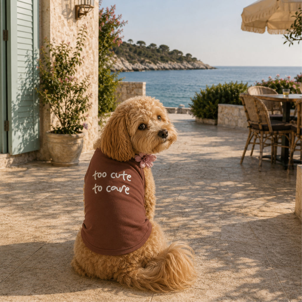 Too Cute to Care T-Shirt