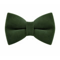 Dark Green Velvet Bow Tie