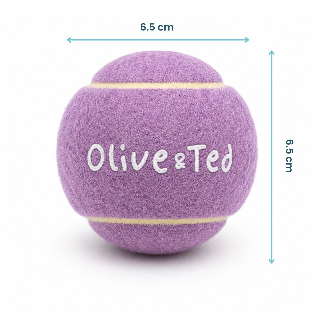 Light Purple Tennis Ball