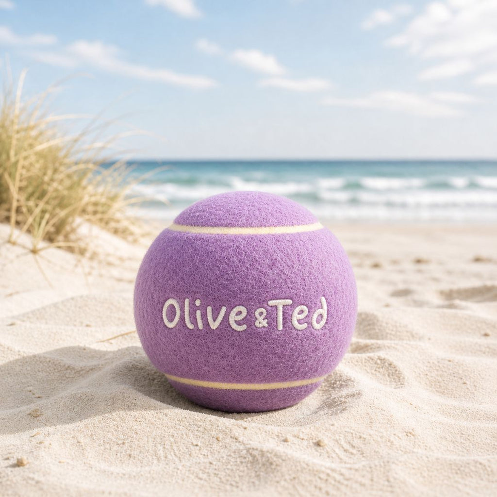 Light Purple Tennis Ball