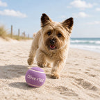 Light Purple Tennis Ball