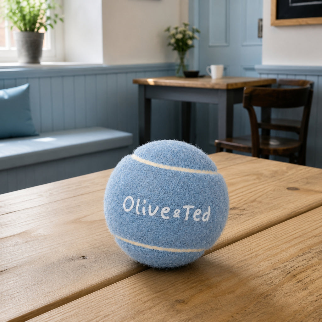 Light Blue Tennis Ball