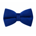 Navy Blue Velvet Bow Tie