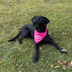 'Oops...I Chewed It Again' Bandana