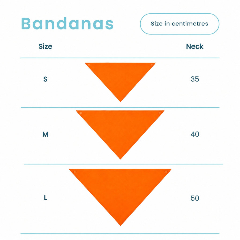 'Skeleton Face' Bandana
