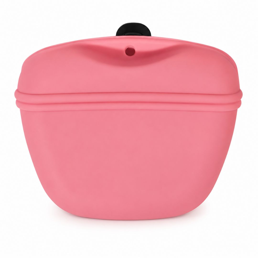 Pink Treat Bag