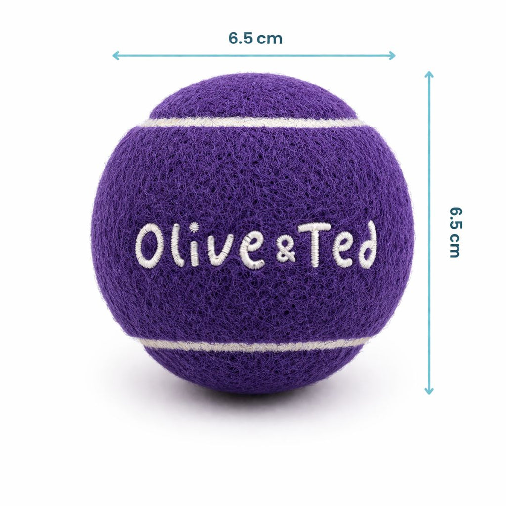 Purple Tennis Ball