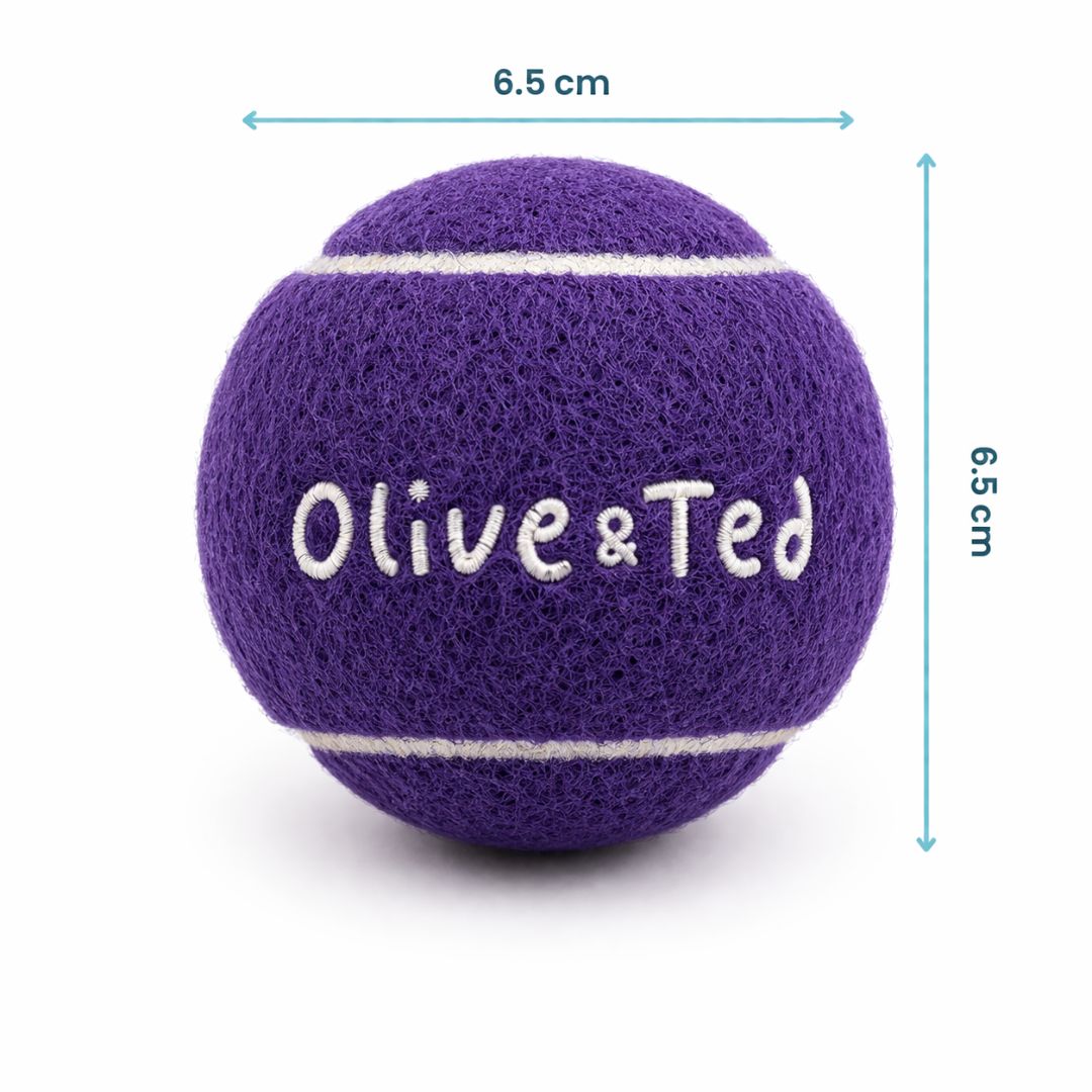 Purple Tennis Ball