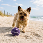 Purple Tennis Ball