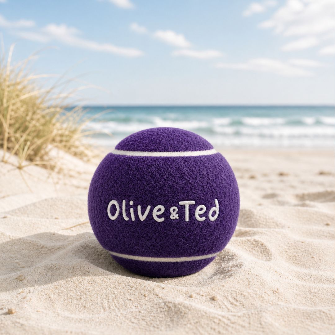 Purple Tennis Ball