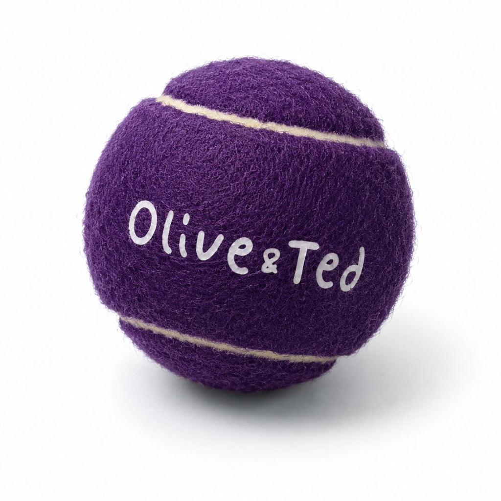 Purple Tennis Ball