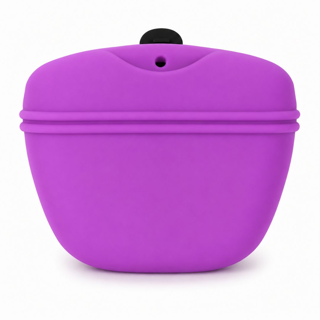 Purple Treat Bag