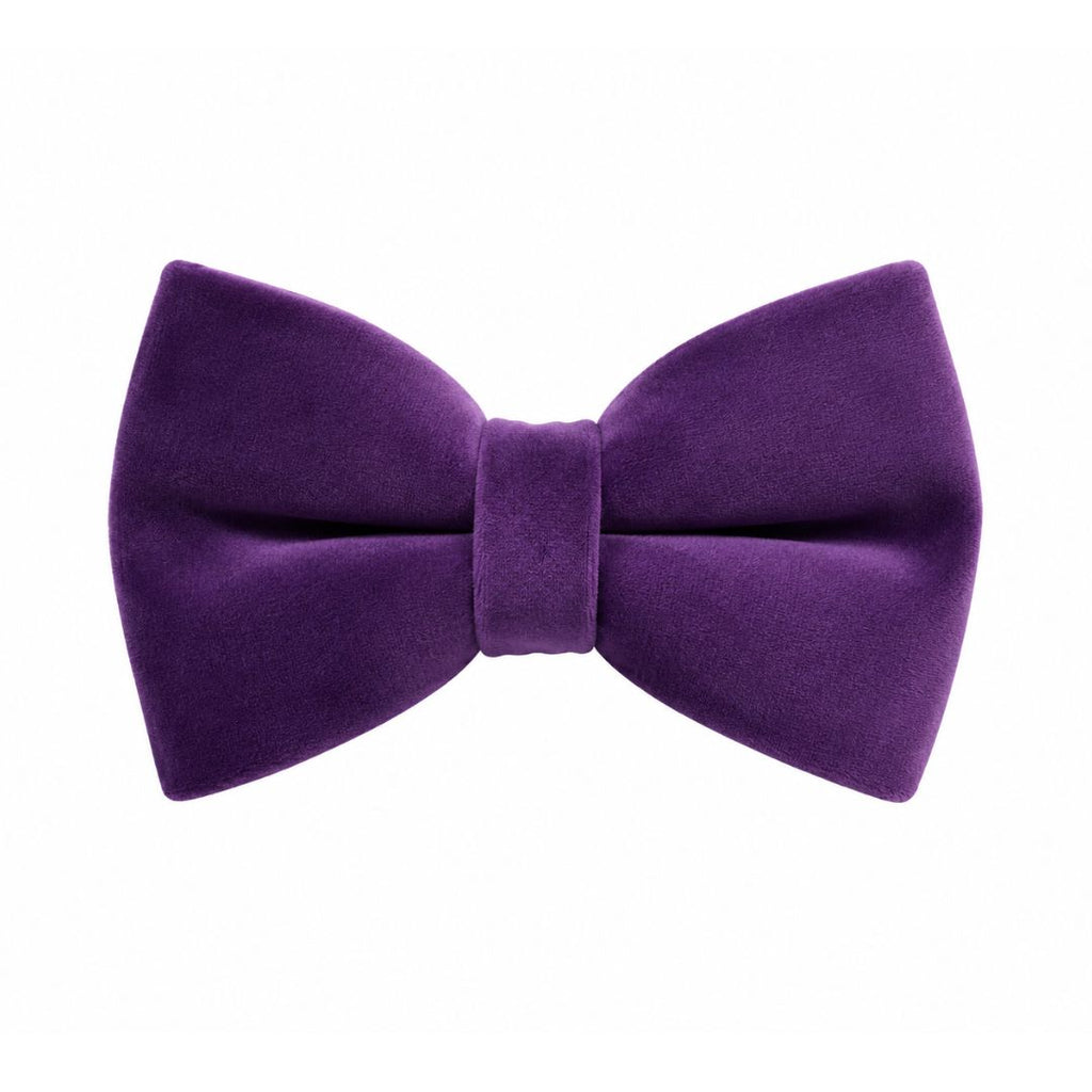 Purple Velvet Bow Tie