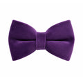 Purple Velvet Bow Tie