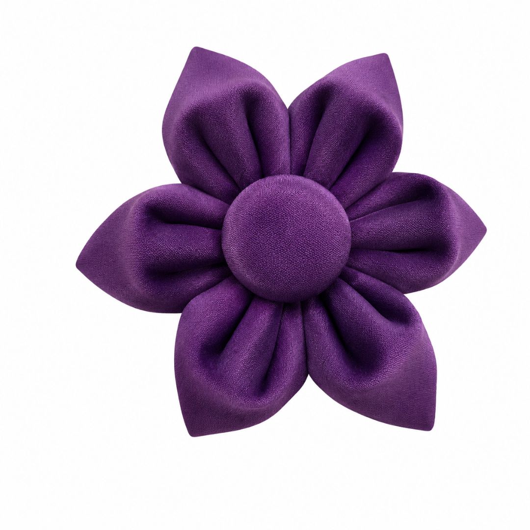 Purple Velvet flower