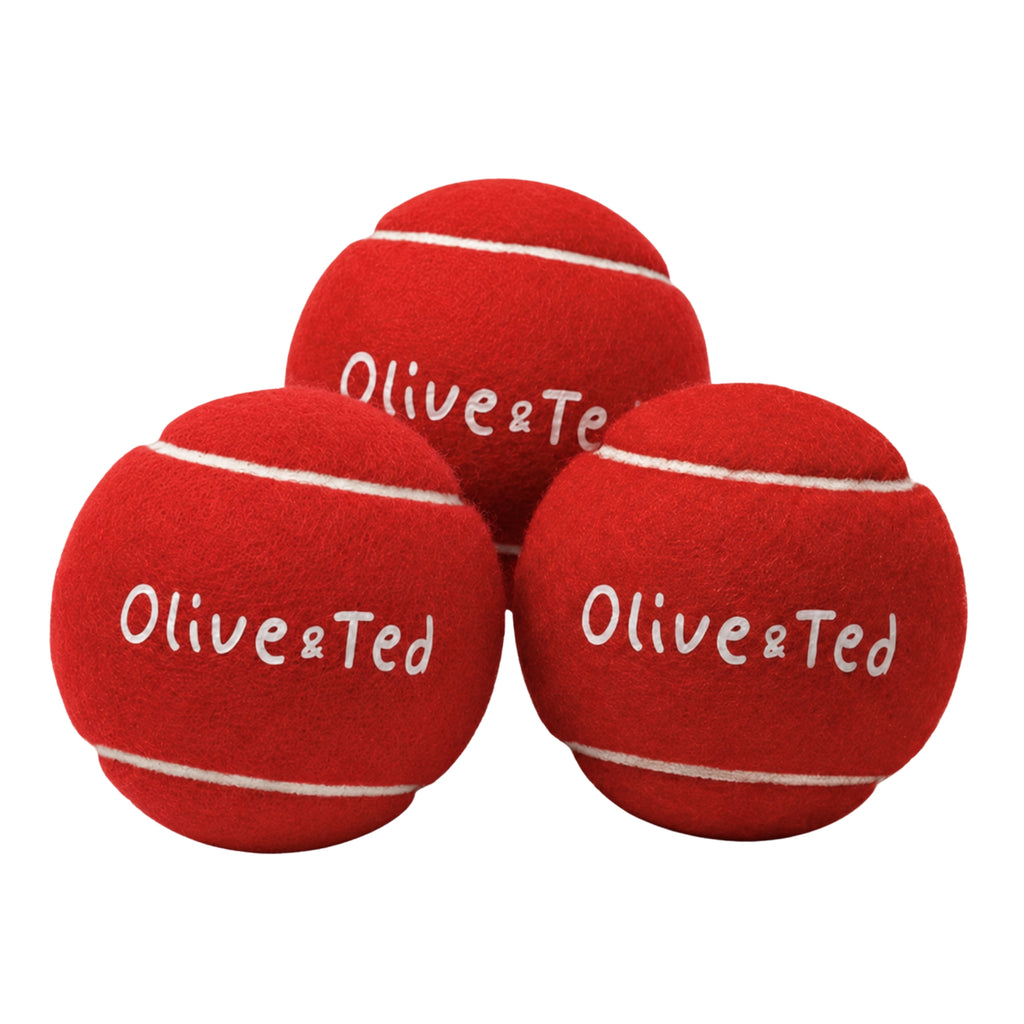 Red Tennis Ball Bundle