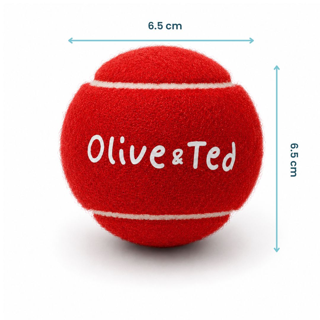 Red Tennis Ball