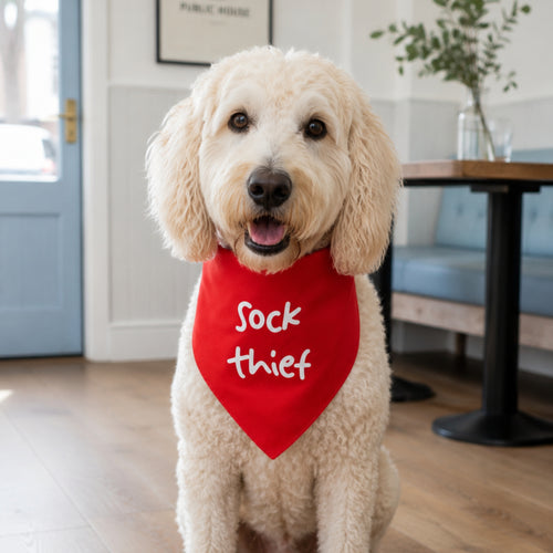 'Sock Thief' Bandana