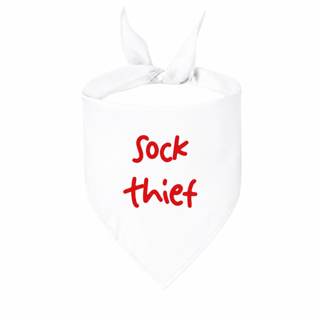 'Sock Thief' Bandana