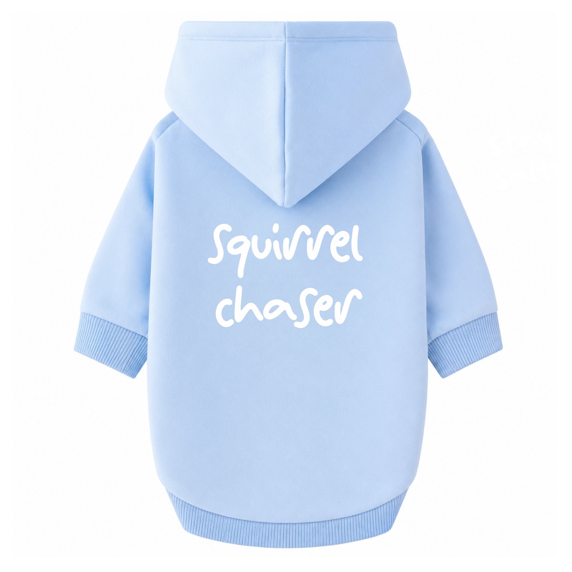'Squirrel Chaser' Hoodie