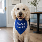 'Squirrel Chaser' Bandana