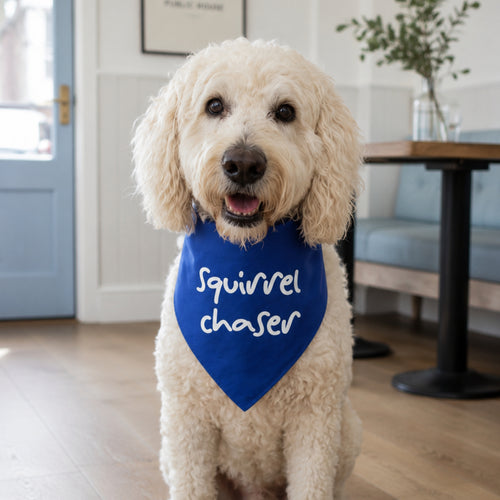 'Squirrel Chaser' Bandana