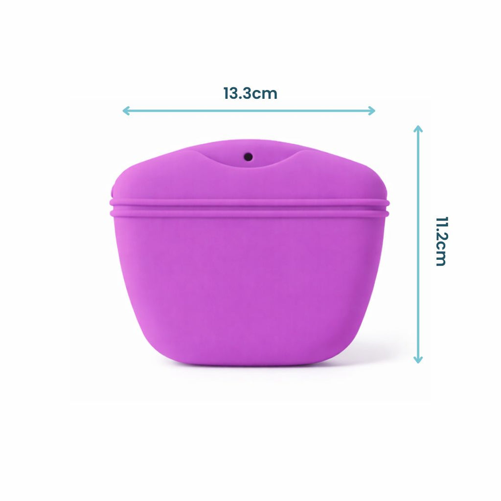 Purple Treat Bag