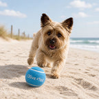 Turquoise Tennis Ball