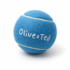 Turquoise Tennis Ball