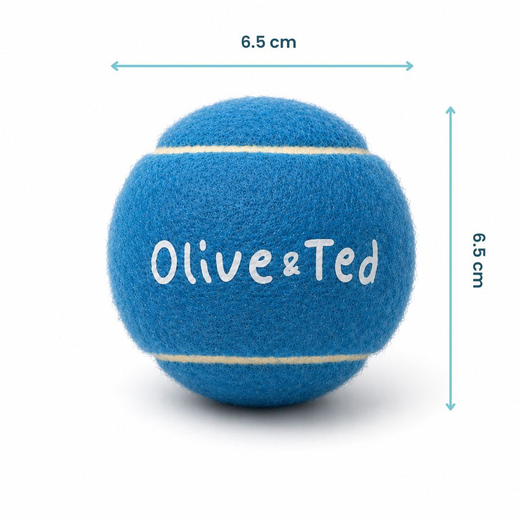 Turquoise Tennis Ball