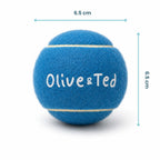 Turquoise Tennis Ball