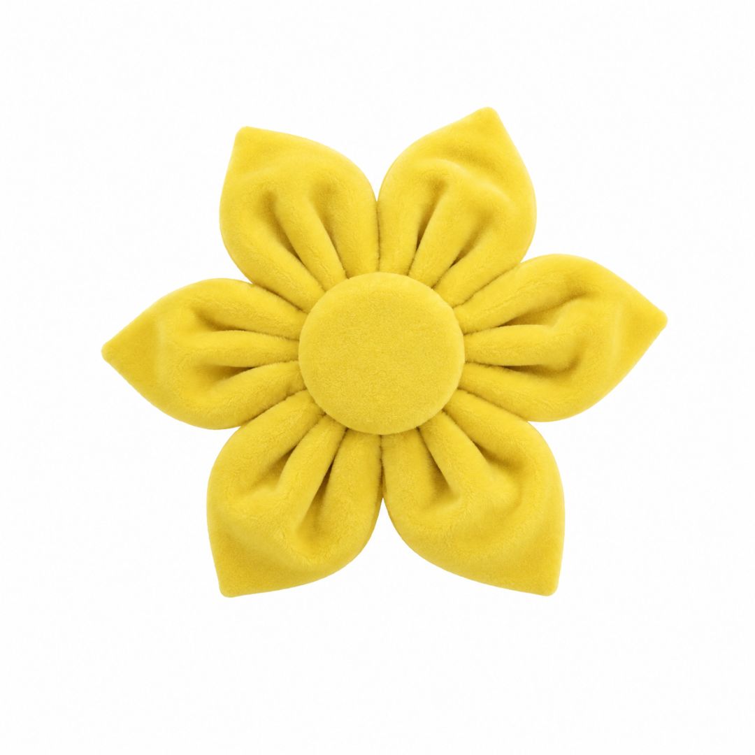 Yellow Velvet Flower