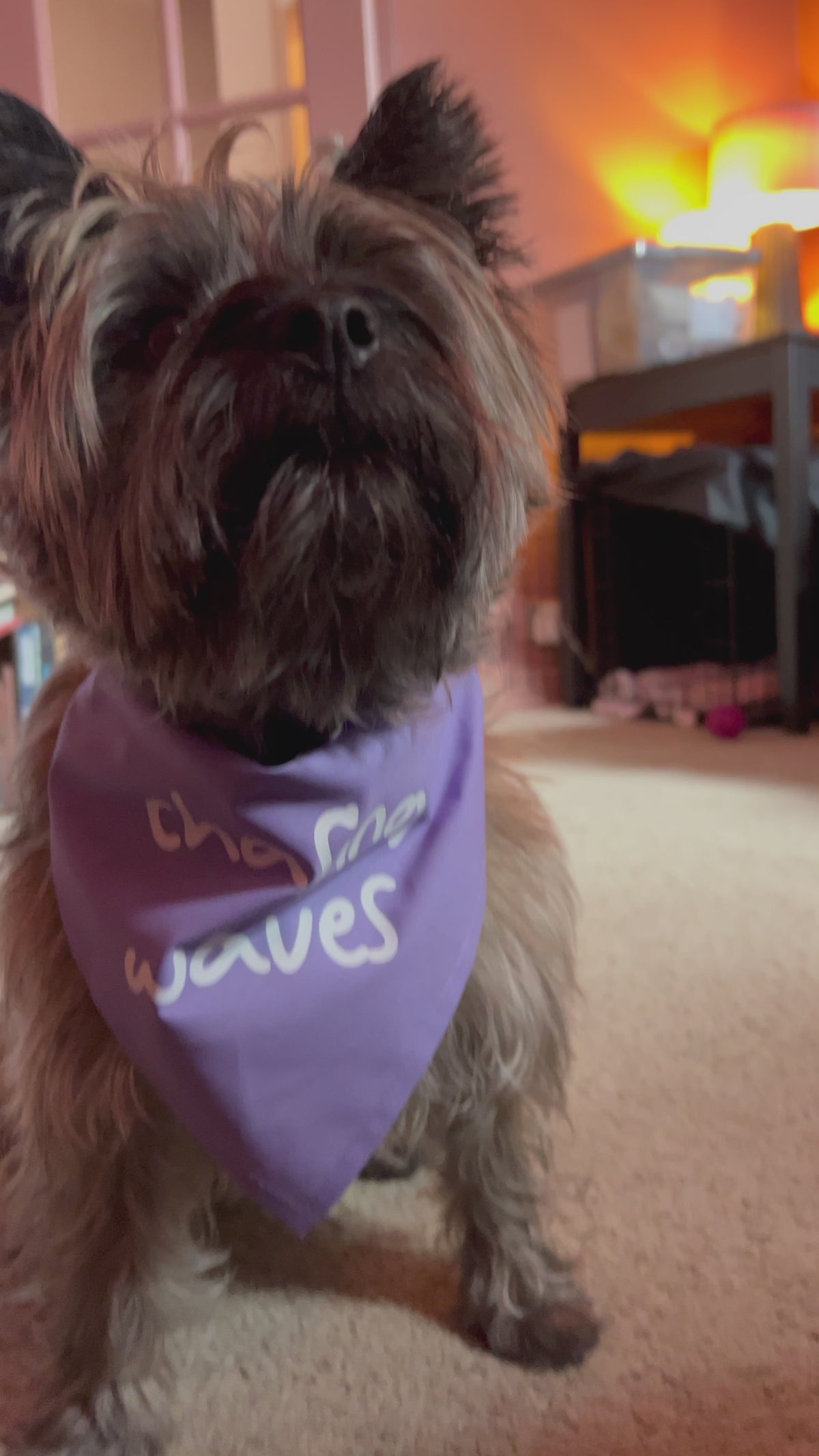 'Chasing Waves' Bandana