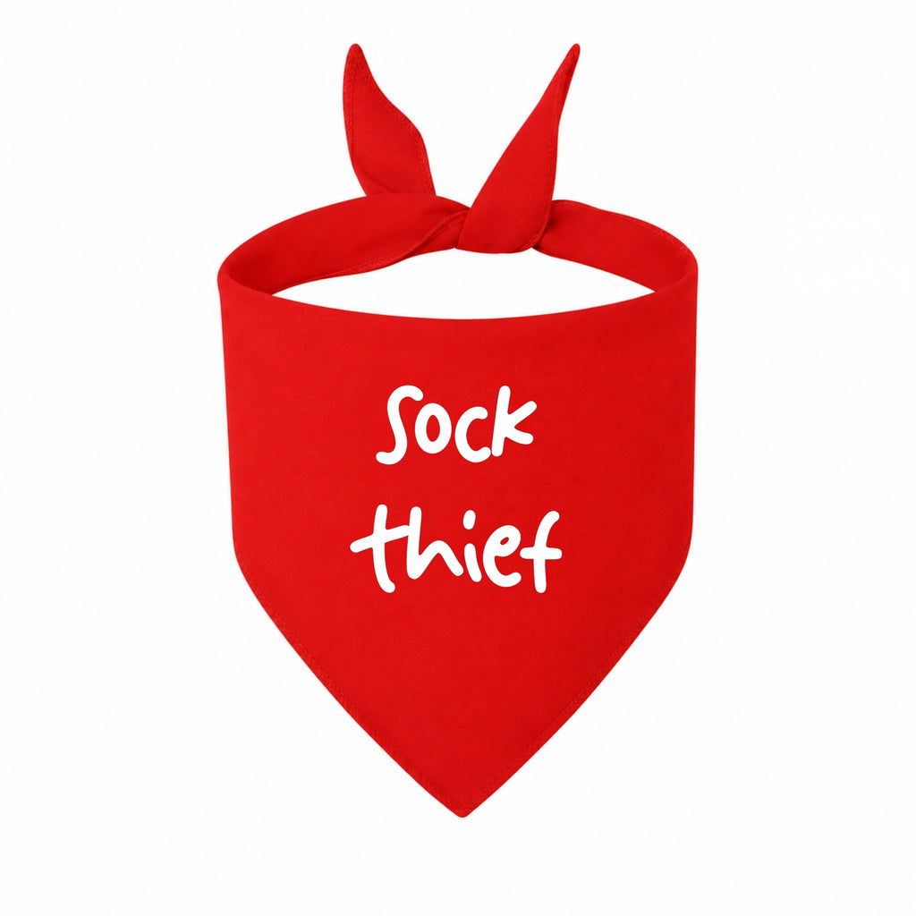 'Sock Thief' Bandana
