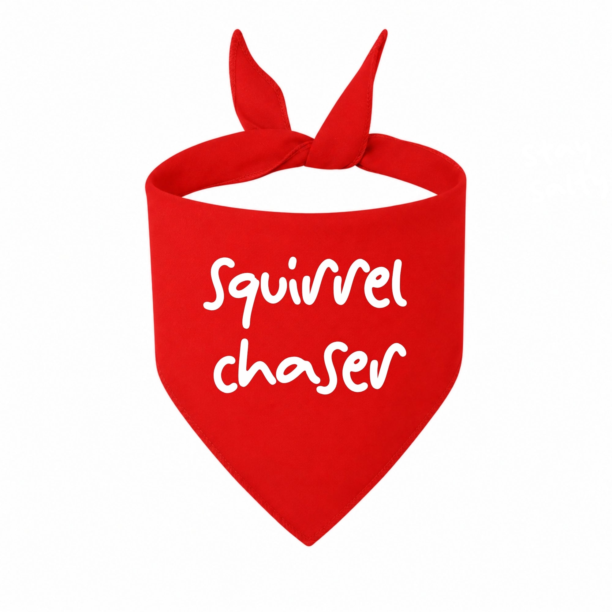 'Squirrel Chaser' Bandana